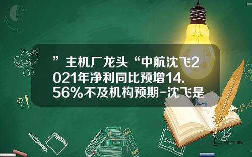 ”主机厂龙头“中航沈飞2021年净利同比预增14.56%不及机构预期-沈飞是上市公司吗