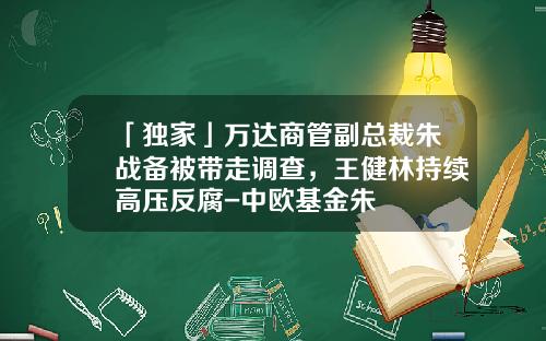 「独家」万达商管副总裁朱战备被带走调查，王健林持续高压反腐-中欧基金朱