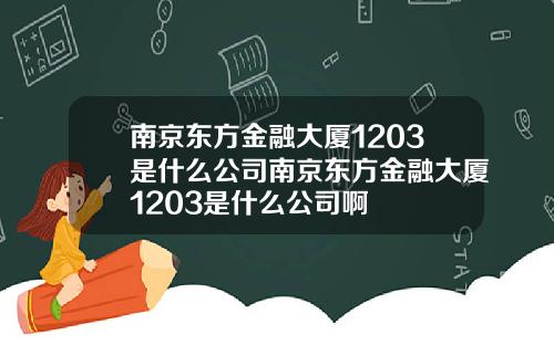 南京东方金融大厦1203是什么公司南京东方金融大厦1203是什么公司啊