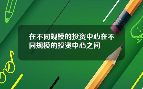 在不同规模的投资中心在不同规模的投资中心之间