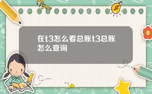 在t3怎么看总账t3总账怎么查询
