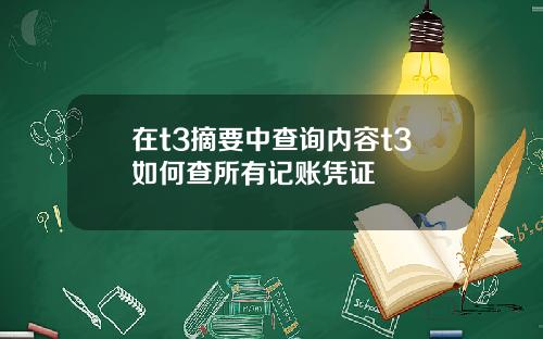 在t3摘要中查询内容t3如何查所有记账凭证