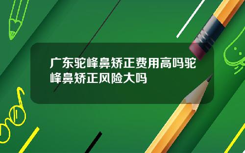 广东驼峰鼻矫正费用高吗驼峰鼻矫正风险大吗