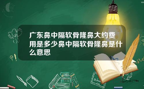 广东鼻中隔软骨隆鼻大约费用是多少鼻中隔软骨隆鼻是什么意思