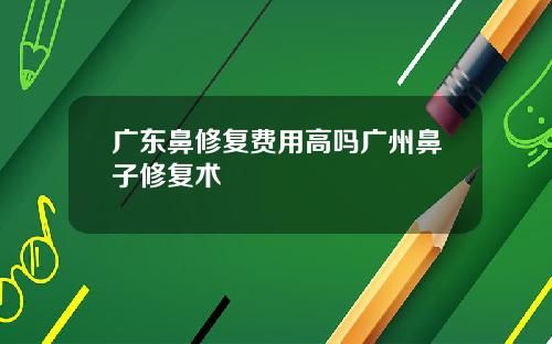 广东鼻修复费用高吗广州鼻子修复术