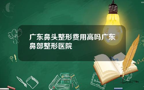 广东鼻头整形费用高吗广东鼻部整形医院