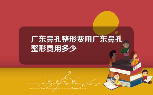 广东鼻孔整形费用广东鼻孔整形费用多少