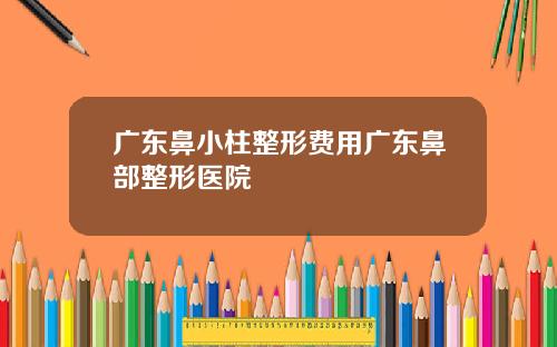 广东鼻小柱整形费用广东鼻部整形医院