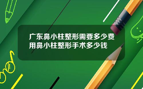广东鼻小柱整形需要多少费用鼻小柱整形手术多少钱