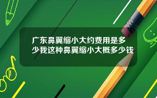 广东鼻翼缩小大约费用是多少我这种鼻翼缩小大概多少钱