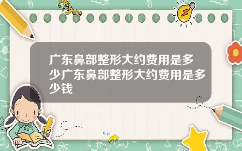 广东鼻部整形大约费用是多少广东鼻部整形大约费用是多少钱