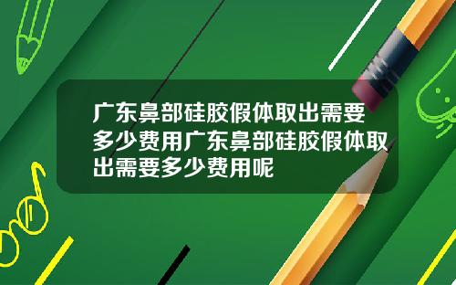 广东鼻部硅胶假体取出需要多少费用广东鼻部硅胶假体取出需要多少费用呢