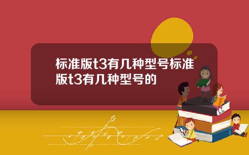 标准版t3有几种型号标准版t3有几种型号的