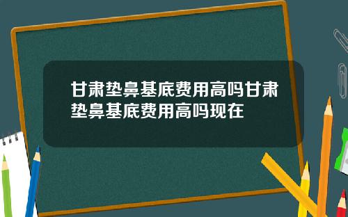 甘肃垫鼻基底费用高吗甘肃垫鼻基底费用高吗现在