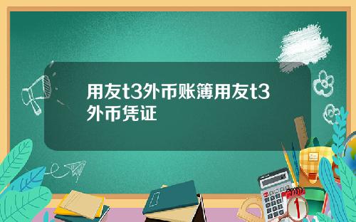 用友t3外币账簿用友t3外币凭证