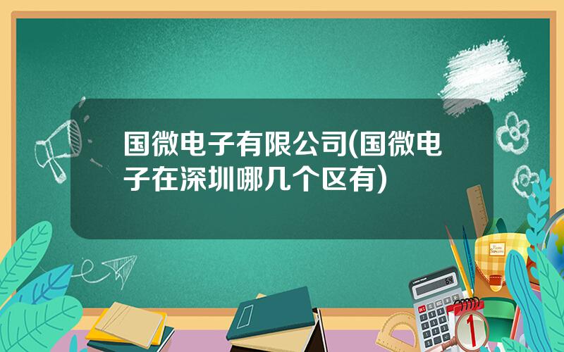国微电子有限公司(国微电子在深圳哪几个区有)