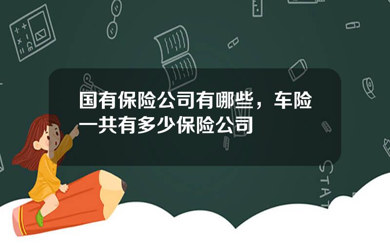 国有保险公司有哪些，车险一共有多少保险公司