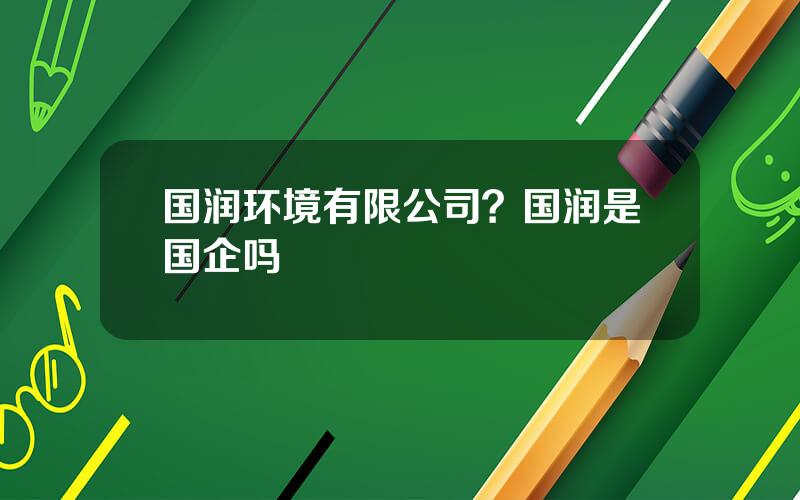 国润环境有限公司？国润是国企吗