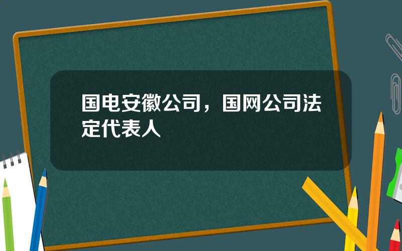 国电安徽公司，国网公司法定代表人