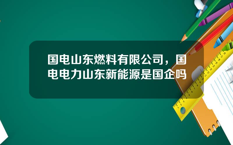 国电山东燃料有限公司，国电电力山东新能源是国企吗