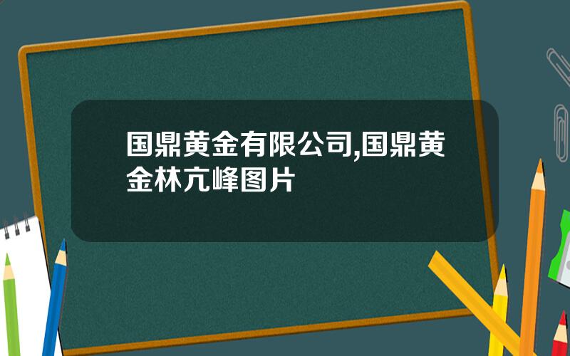 国鼎黄金有限公司,国鼎黄金林亢峰图片
