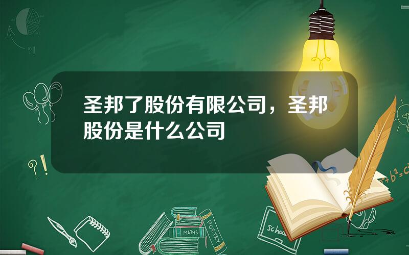 圣邦了股份有限公司，圣邦股份是什么公司