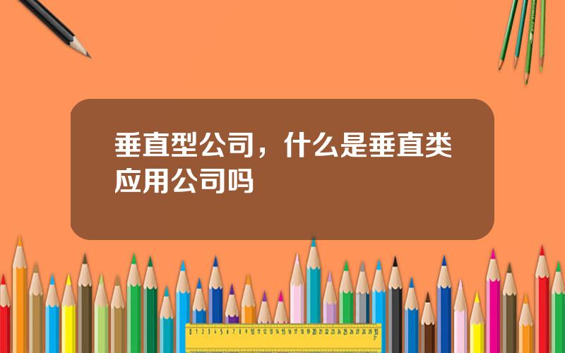 垂直型公司，什么是垂直类应用公司吗