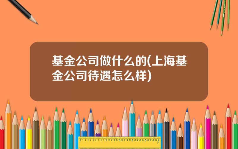 基金公司做什么的(上海基金公司待遇怎么样)