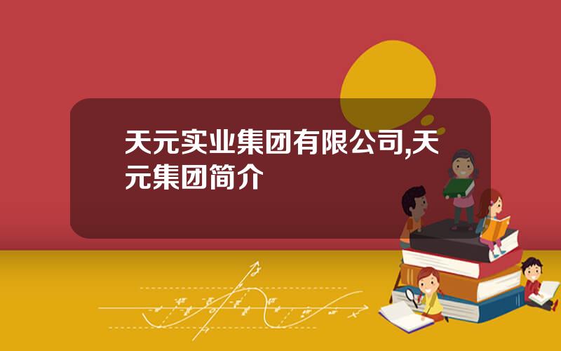 天元实业集团有限公司,天元集团简介