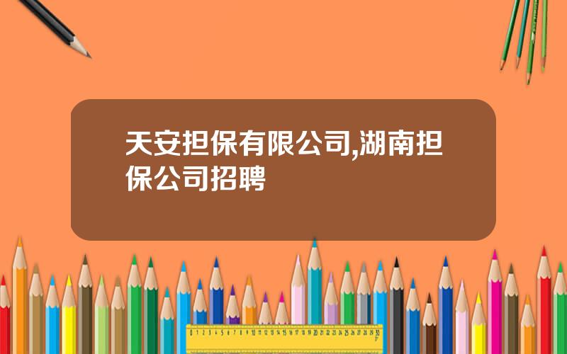 天安担保有限公司,湖南担保公司招聘