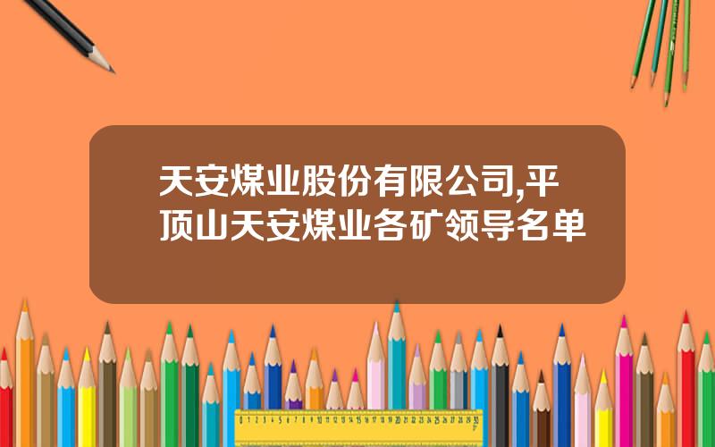 天安煤业股份有限公司,平顶山天安煤业各矿领导名单