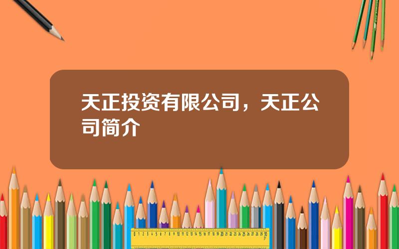 天正投资有限公司，天正公司简介