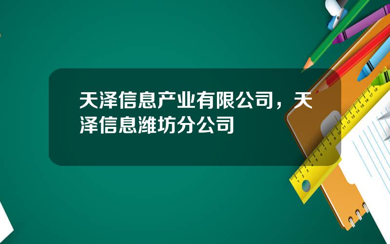 天泽信息产业有限公司，天泽信息潍坊分公司