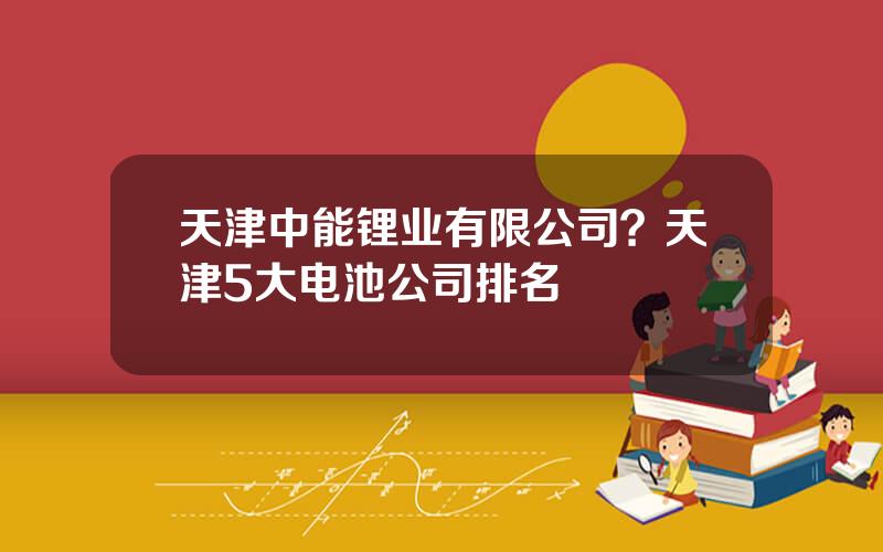 天津中能锂业有限公司？天津5大电池公司排名