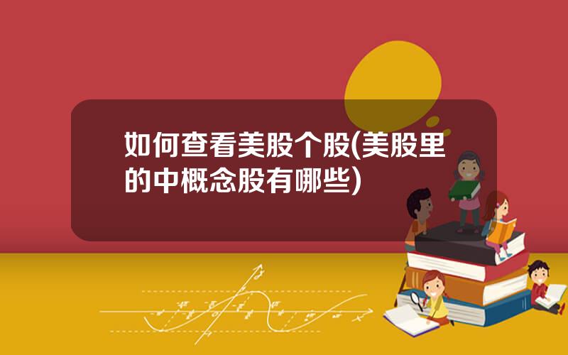 如何查看美股个股(美股里的中概念股有哪些)