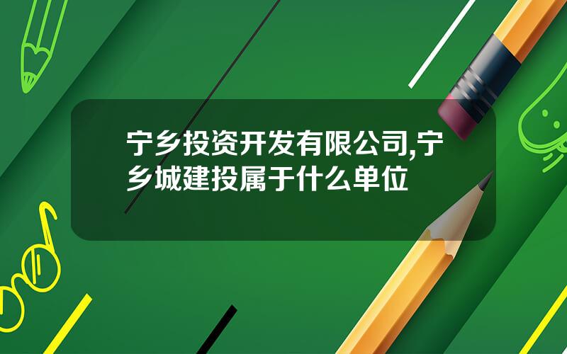 宁乡投资开发有限公司,宁乡城建投属于什么单位