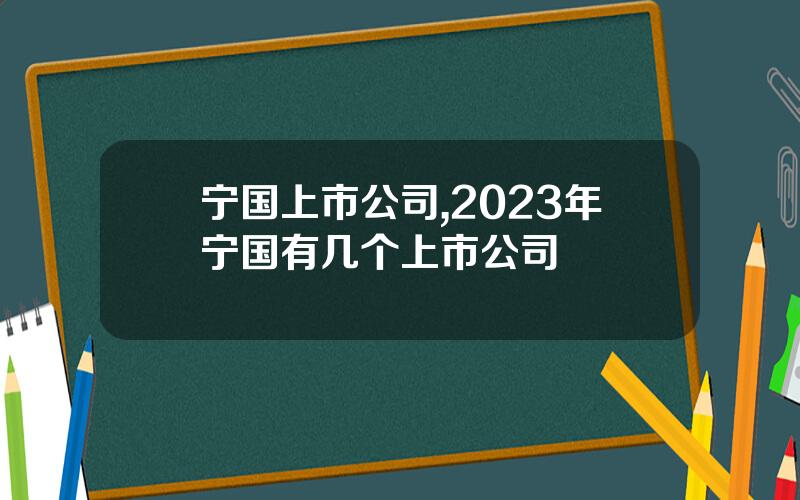 宁国上市公司,2023年宁国有几个上市公司