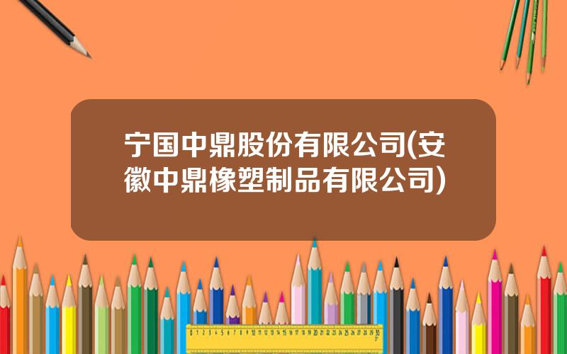 宁国中鼎股份有限公司(安徽中鼎橡塑制品有限公司)