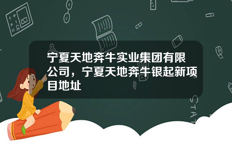 宁夏天地奔牛实业集团有限公司，宁夏天地奔牛银起新项目地址