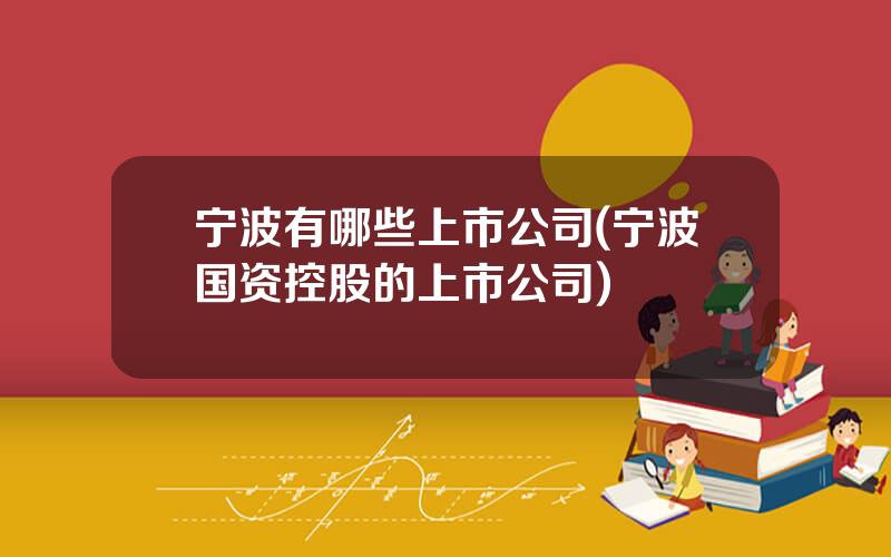 宁波有哪些上市公司(宁波国资控股的上市公司)