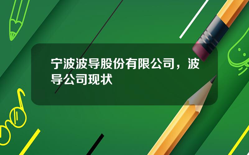 宁波波导股份有限公司，波导公司现状
