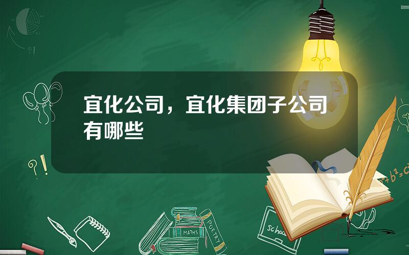 宜化公司，宜化集团子公司有哪些