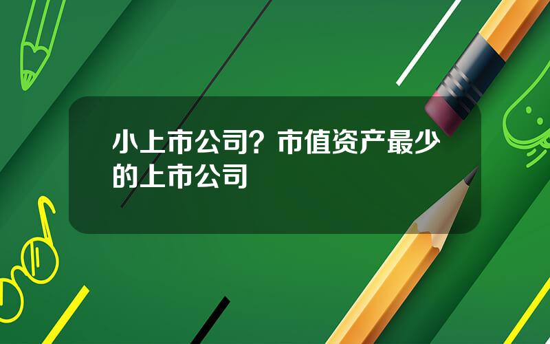 小上市公司？市值资产最少的上市公司