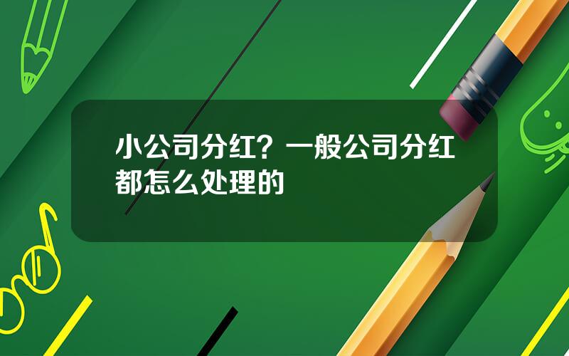 小公司分红？一般公司分红都怎么处理的