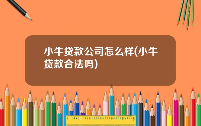 小牛贷款公司怎么样(小牛贷款合法吗)