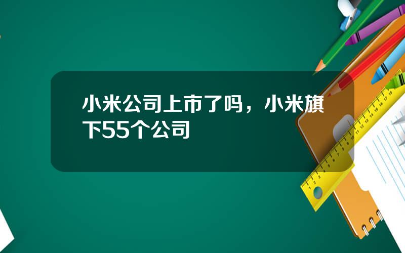 小米公司上市了吗，小米旗下55个公司