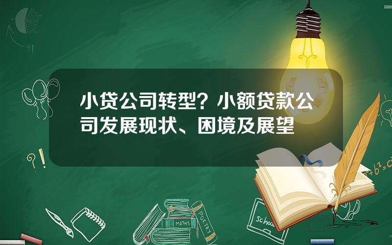 小贷公司转型？小额贷款公司发展现状、困境及展望