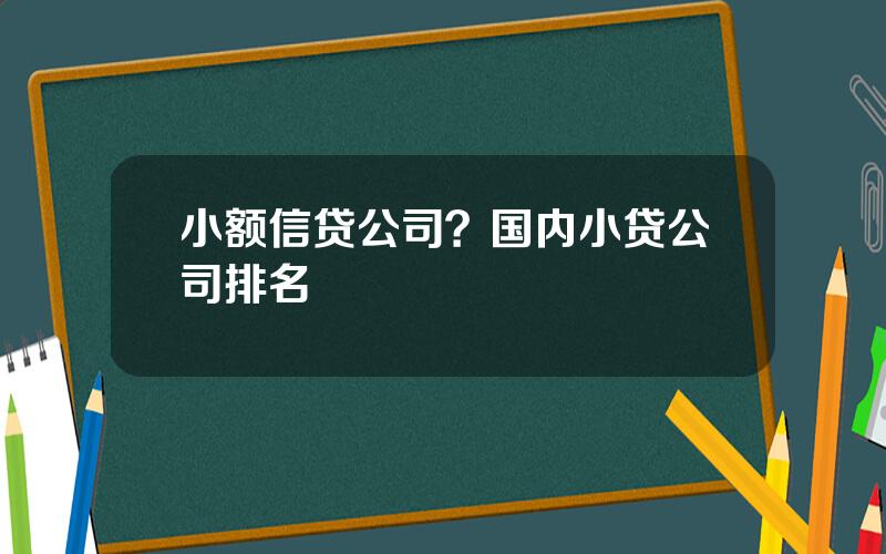 小额信贷公司？国内小贷公司排名