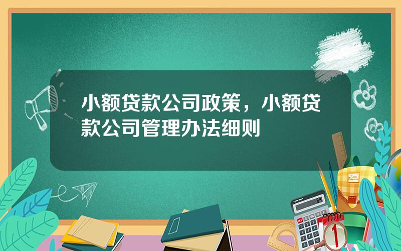 小额贷款公司政策，小额贷款公司管理办法细则