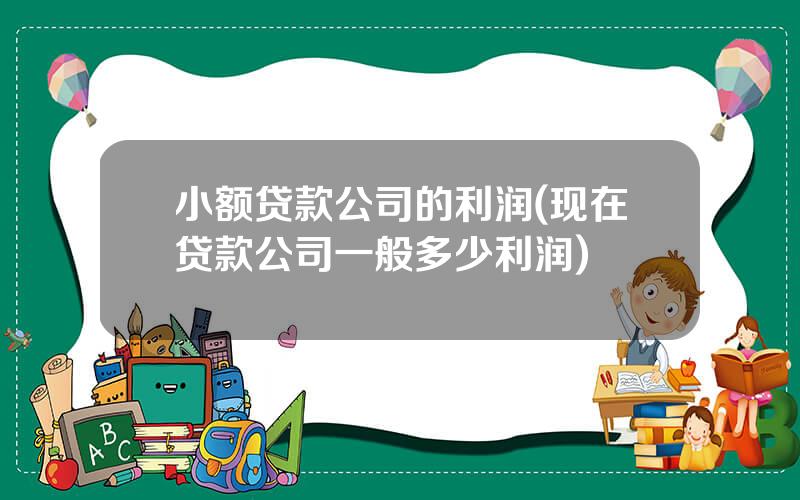 小额贷款公司的利润(现在贷款公司一般多少利润)